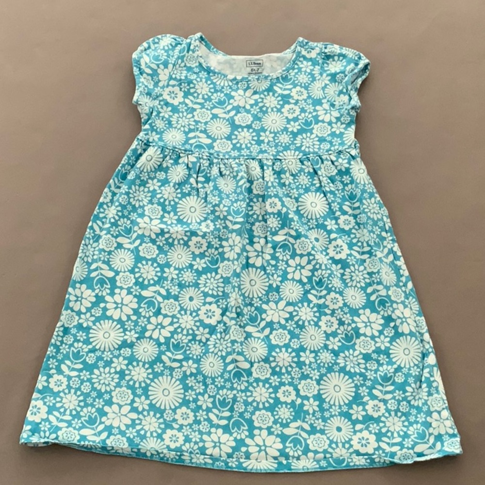 LL Bean dress